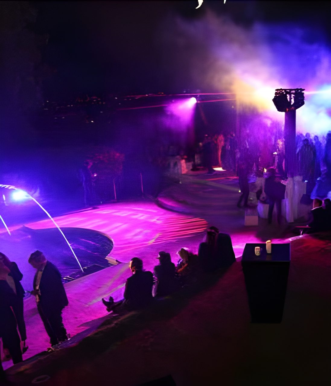 Soirée privée à Cannes — visuel 2